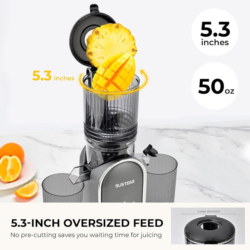 susteas Cold Press Juicer Machines, 5.3" Feed Chute(50oz Capacity), 300W Slow Masticating Juice Extractor for Whole Fruits and Vegetables, Automatic Feed, High Juice Yield,Easy to Clean, Silver gray - Image 5